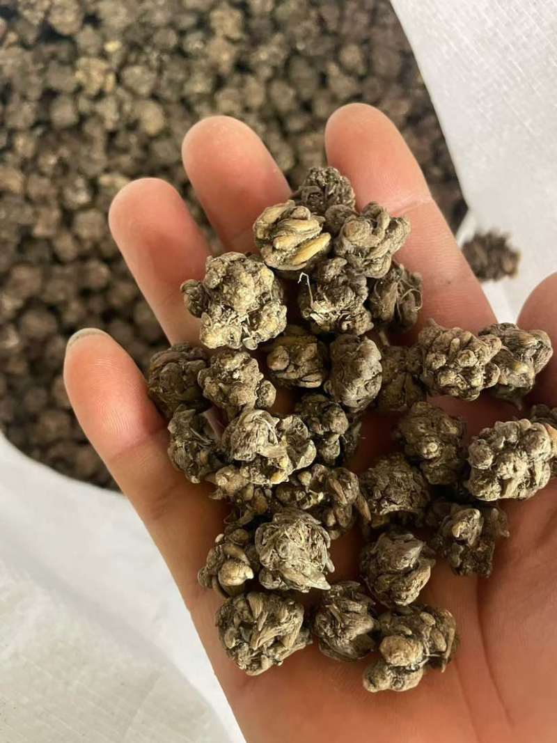 各种类型在线