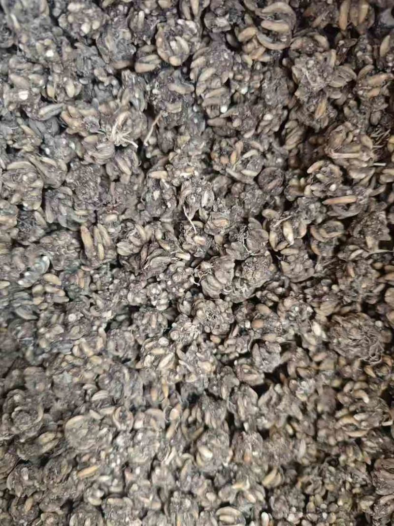 各种类型在线