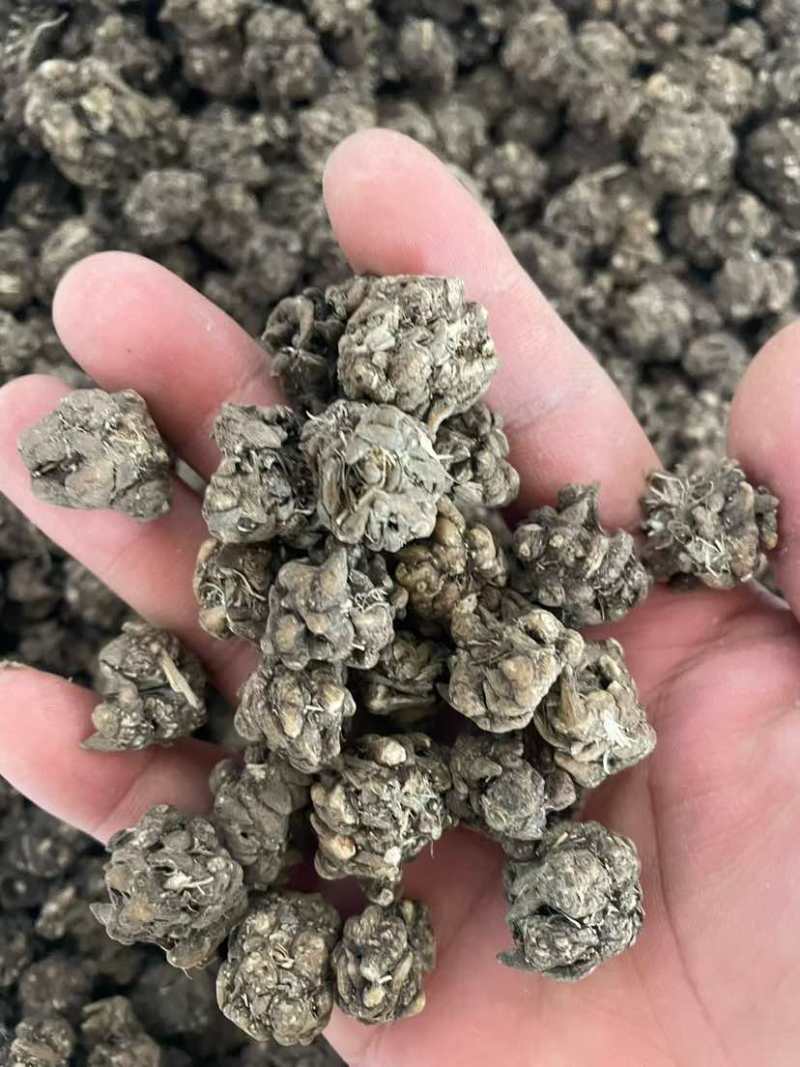 各种类型在线
