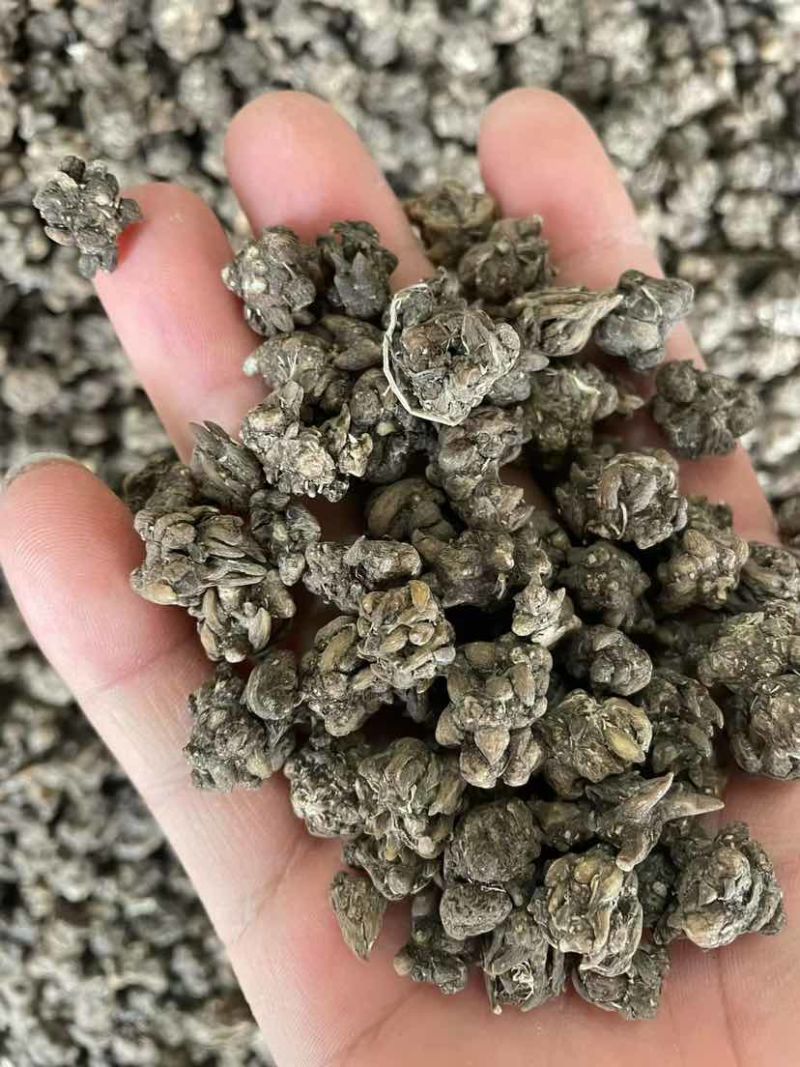 各种类型在线
