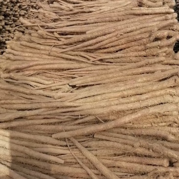 河南荥阳（王村镇）铁棍山药