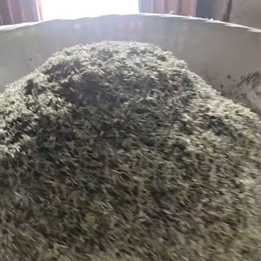 茶