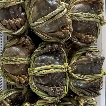 当涂螃蟹