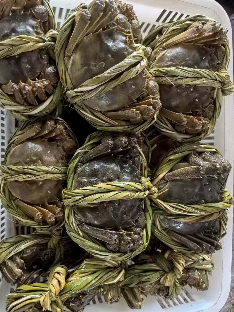 当涂螃蟹