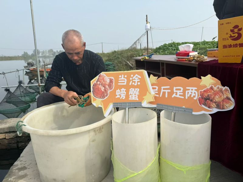 当涂螃蟹