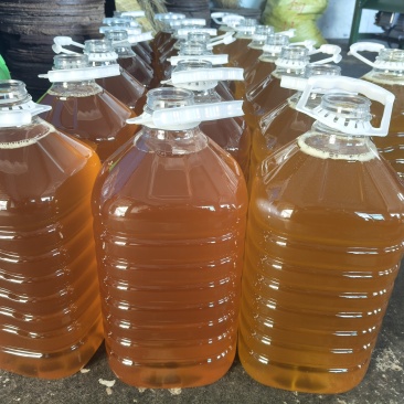 小籽高山野生山茶油