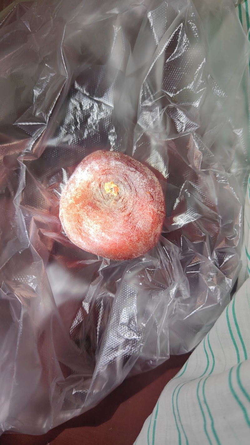 纯手工柿饼