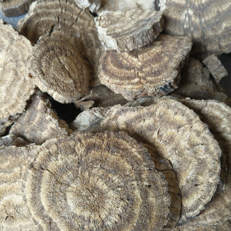 秦岭野生葛根片干火