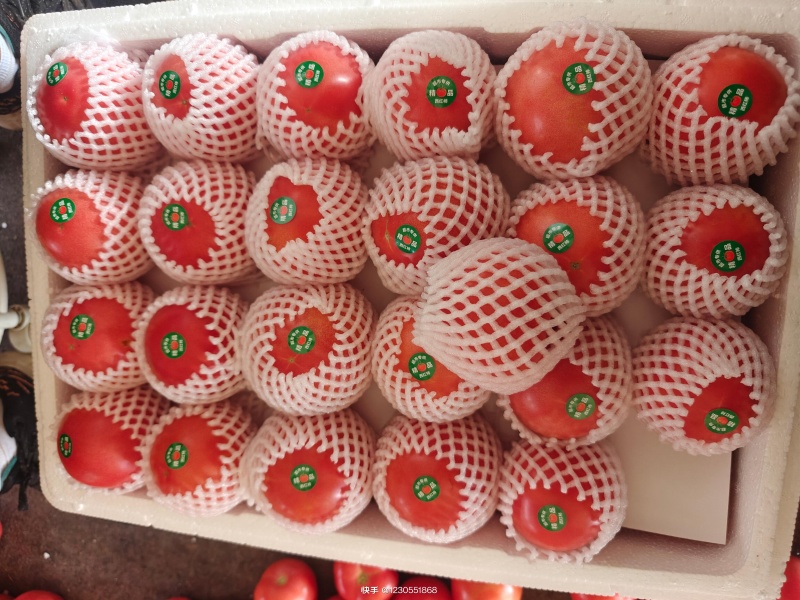 硬粉西红柿