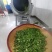 广西梧州六堡茶千亩茶园按客户要求精制六堡茶