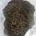广西梧州六堡茶千亩茶园按客户要求精制六堡茶