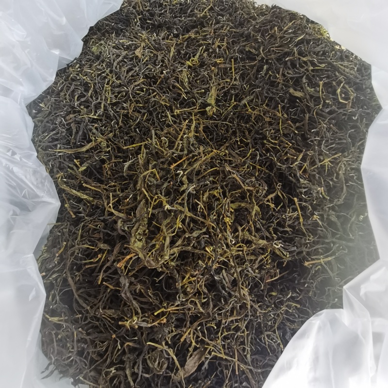 广西梧州六堡茶千亩茶园按客户要求精制六堡茶