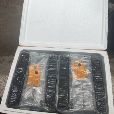 长沙臭豆腐生胚