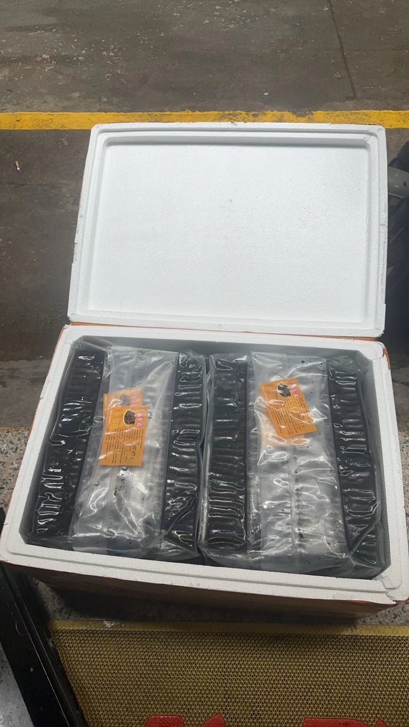 长沙臭豆腐生胚