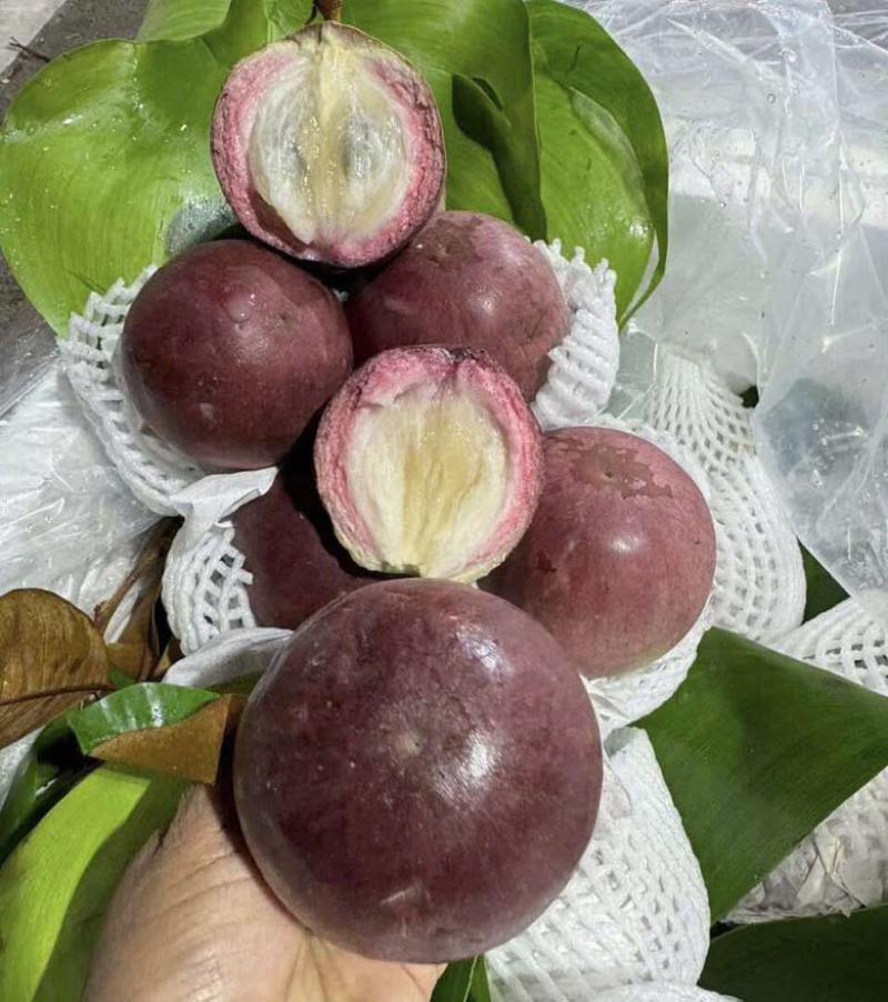 牛奶果