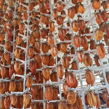 富平柿饼