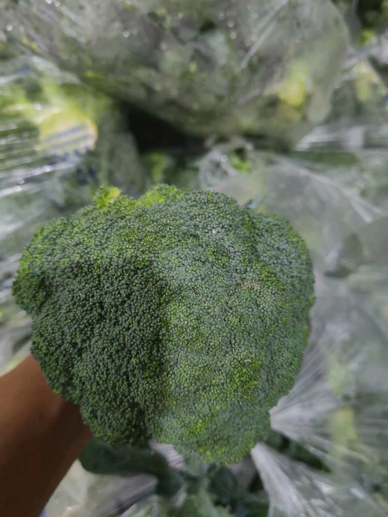 精品西兰花