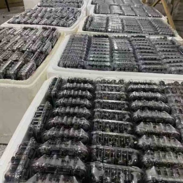 红果参高档水果含多种营养元素60g起