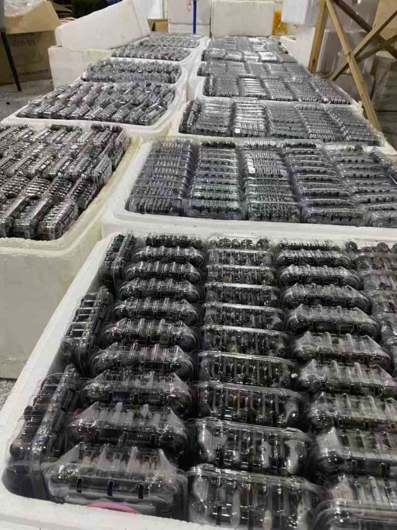 红果参高档水果含多种营养元素60g起