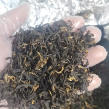 昭平红茶