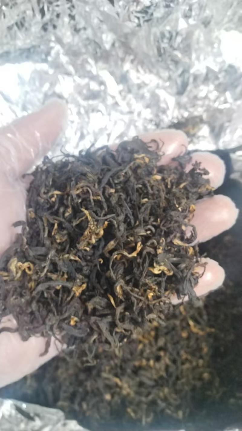 昭平红茶