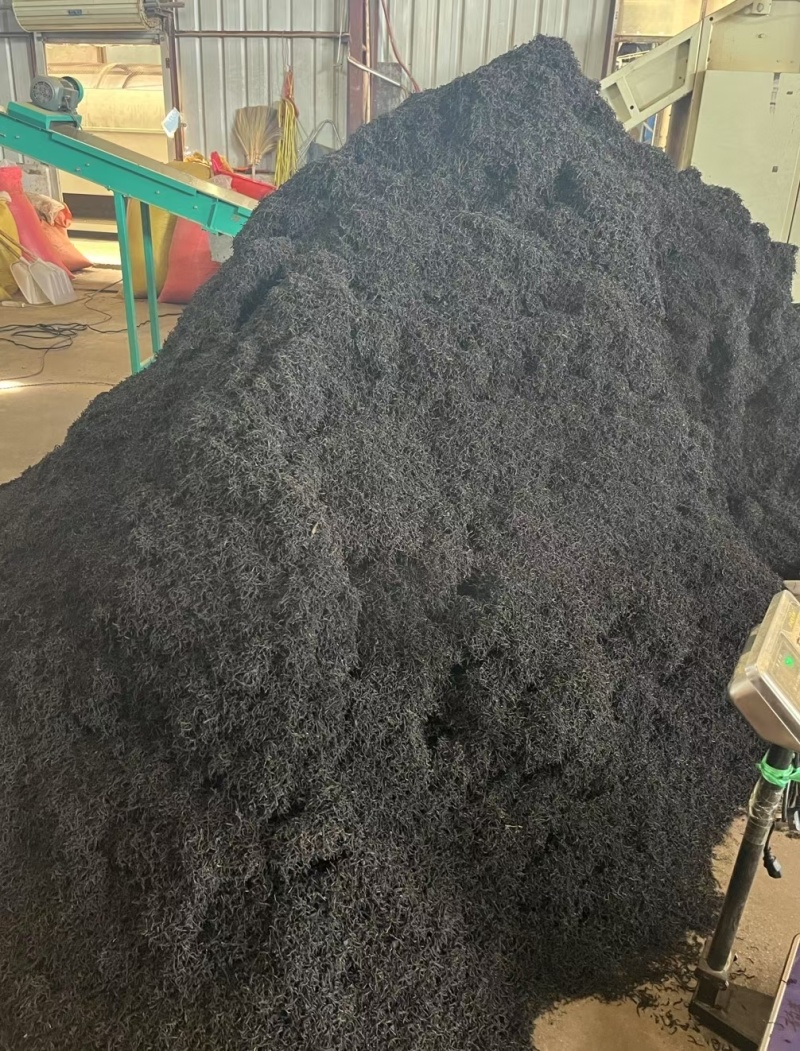 昭平红茶