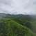 昭平红茶