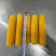 一等速冻糯玉米穗（糯九）