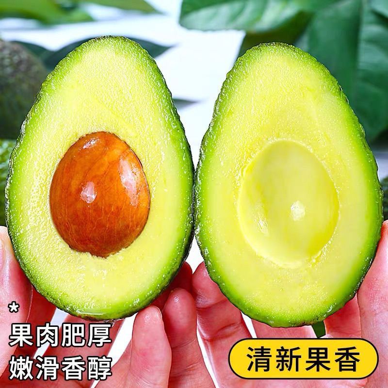 云南国产正宗哈斯牛油果新鲜水果大果鳄梨直发