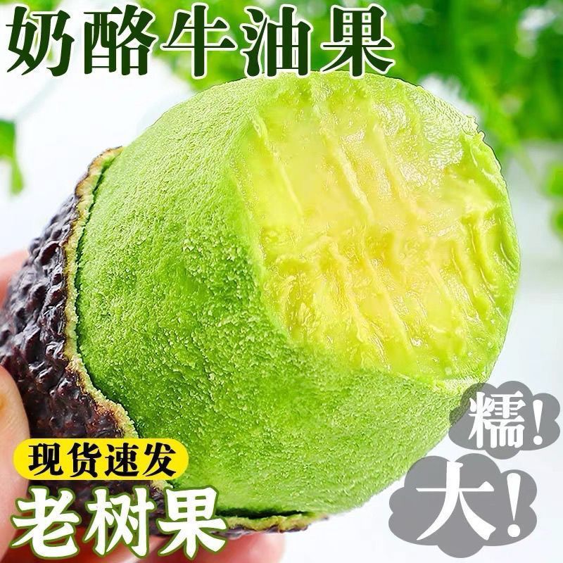 云南国产正宗哈斯牛油果新鲜水果大果鳄梨直发