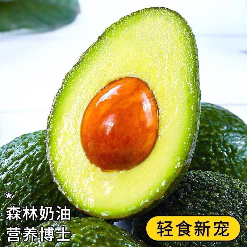 云南国产正宗哈斯牛油果新鲜水果大果鳄梨直发