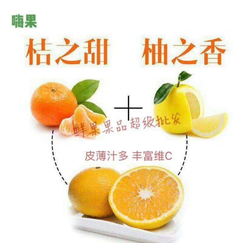 桔柚批发零售礼盒