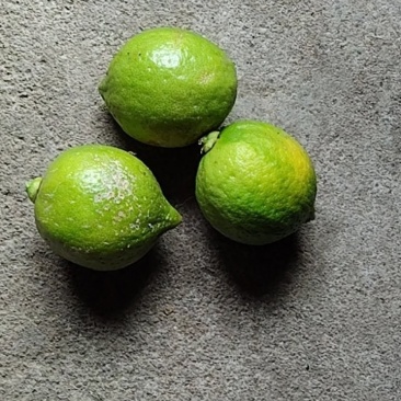 香水柠檬