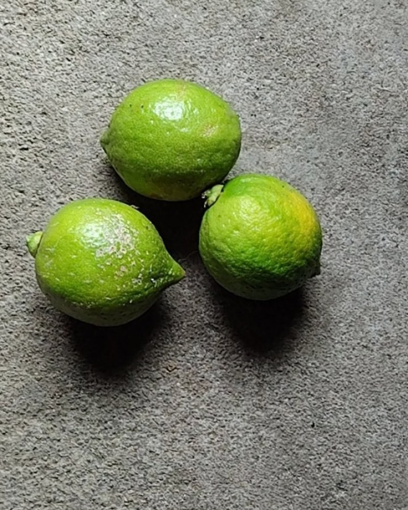 香水柠檬