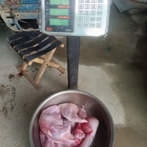 自家散养现剥兔肉