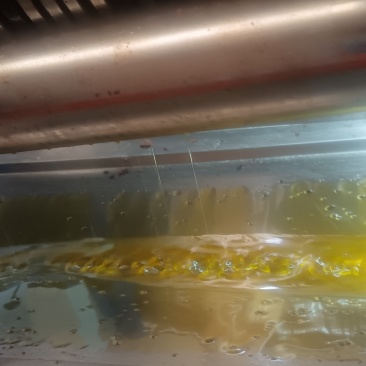 山茶油