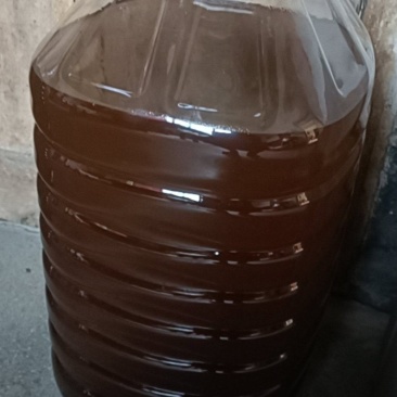 正宗山茶油