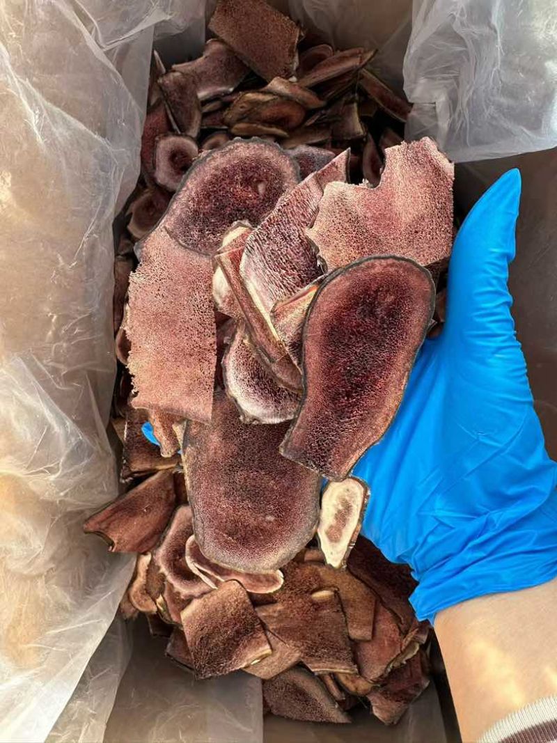 吉林鹿乡鹿茸红粉片碎片残片足干打粉投料源头产地批量供应斌