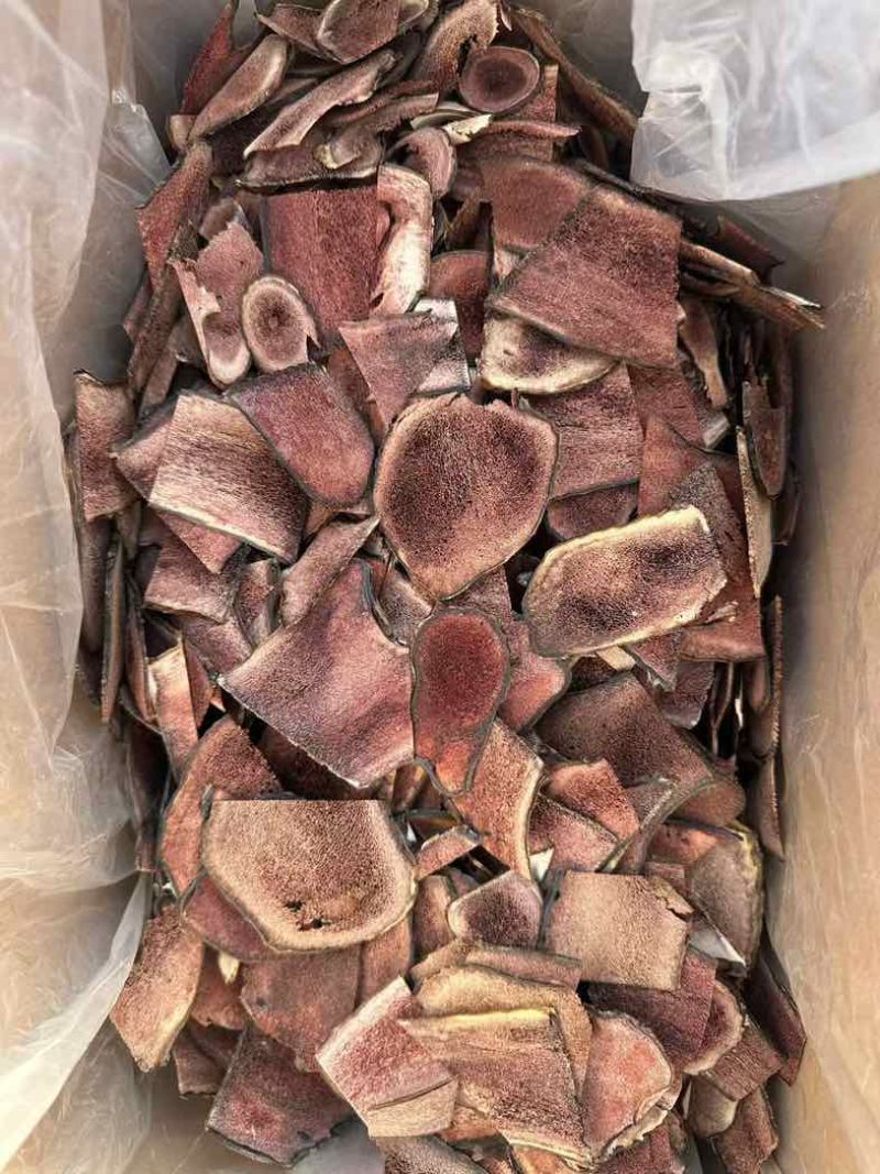 吉林鹿乡鹿茸红粉片碎片残片足干打粉投料源头产地批量供应斌