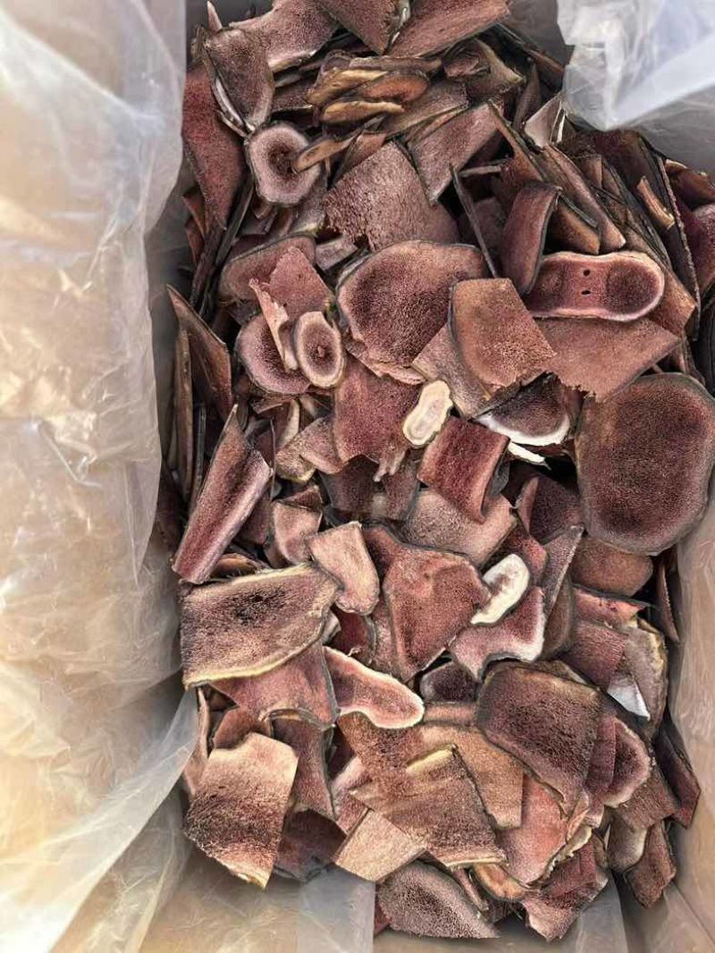 吉林鹿乡鹿茸红粉片碎片残片足干打粉投料源头产地批量供应斌