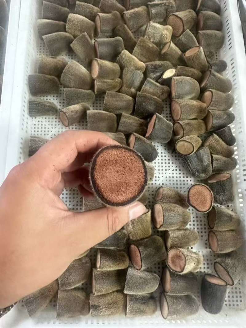 鹿茸粉鹿乡镇梅花鹿茸粉干鹿茸批发煲汤正品鹿茸粉鹿场直发
