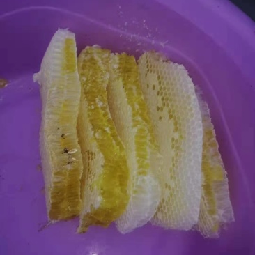 高山土蜂蜜