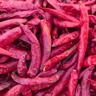 辣椒🌶