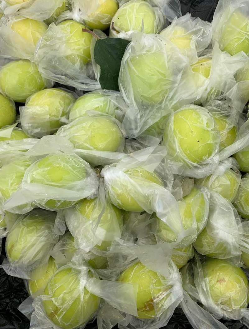 牛奶枣——脆甜多汁