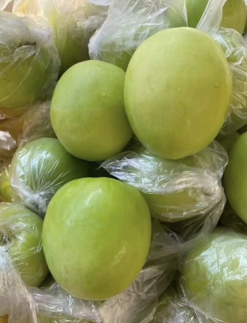 牛奶枣——脆甜多汁