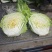 京东868大白菜