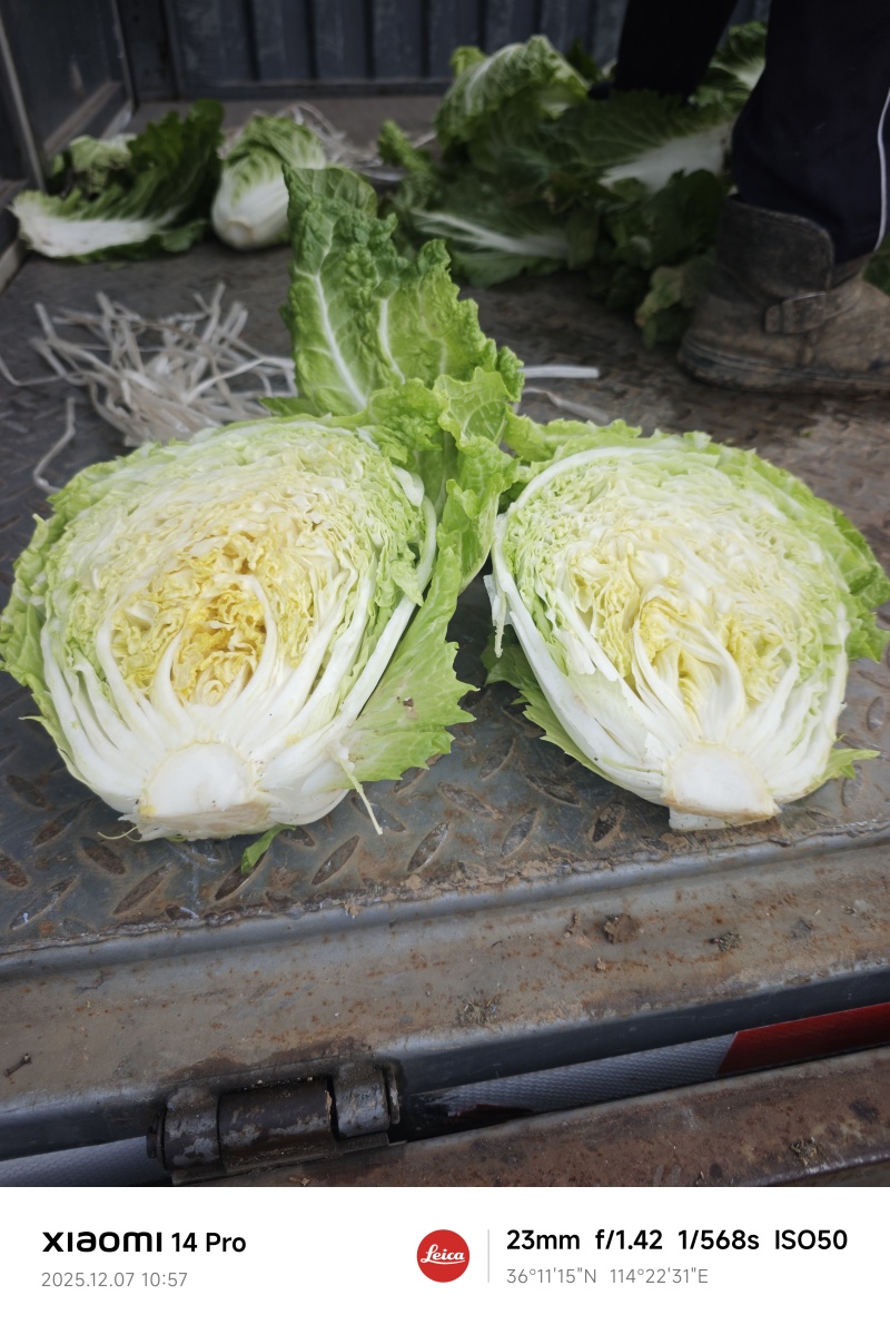 京东868大白菜