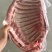 盐池滩羊无脊羊排