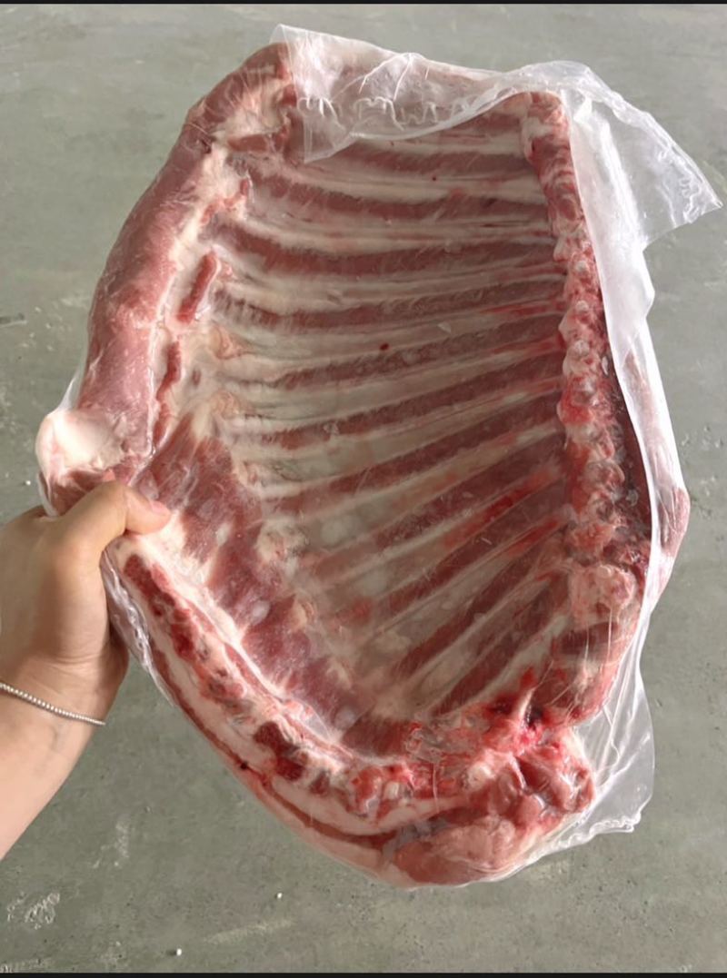 盐池滩羊无脊羊排