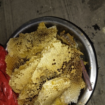正宗土蜂蜜